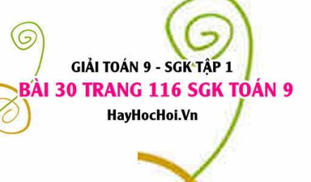 Giải bài 30 trang 116 SGK Toán 9 tập 1